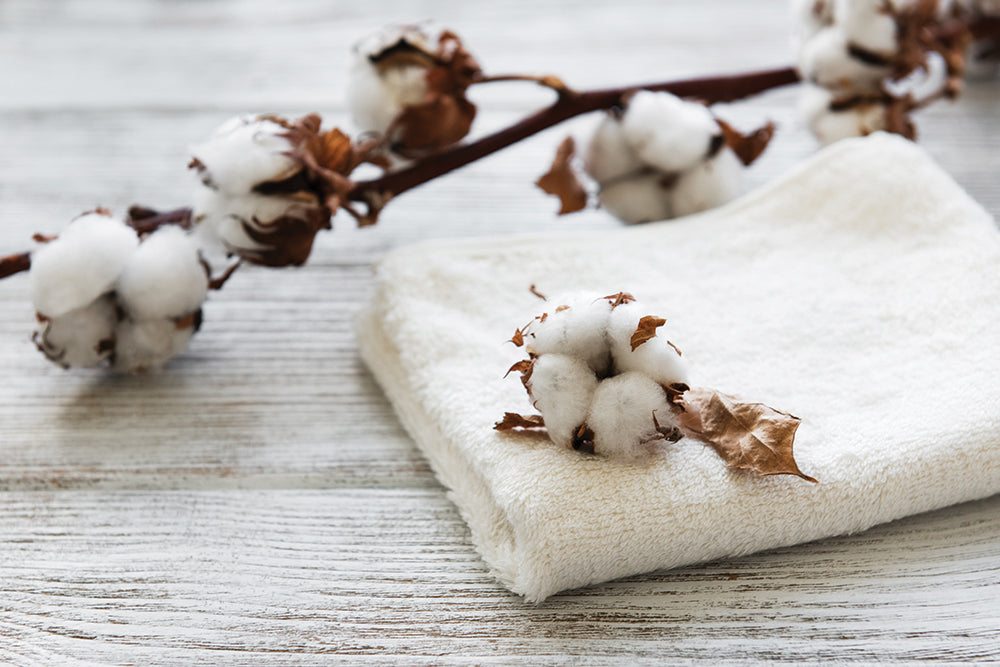 Reasons You Should Wear Organic Cotton